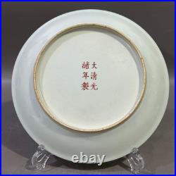 Collectable Art Handmade Painting GuangXuFamille Rose Porcelain Bird Plate