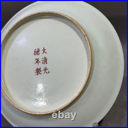 Collectable Art Handmade Painting GuangXuFamille Rose Porcelain Bird Plate