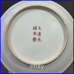 Collectable Art Handmade Painting GuangXuFamille Rose Porcelain Bird Plate