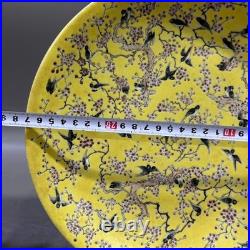 Collectable Art Handmade Painting GuangXuFamille Rose Porcelain Bird Plate