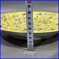 Collectable Art Handmade Painting GuangXuFamille Rose Porcelain Bird Plate