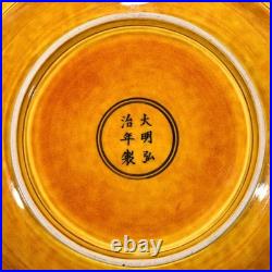 Collectable Art Handmade Painting Yellow Glaze Porcelain Bird Plate