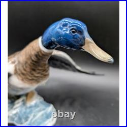 DEFECTIVE Rosenthal Germany Porcelain Mallard Duck Figurine 1577 Hand Pa G3D