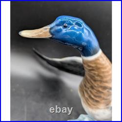 DEFECTIVE Rosenthal Germany Porcelain Mallard Duck Figurine 1577 Hand Pa G3D