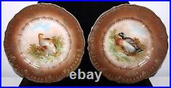 DUCK & Pheasant Birds Cabinet Plate PAIR CT Germany Brown w Gold Gilding Antique