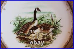 Edward Marshall Boehm Water Bird Bone China Plates Set Of 4 Wooden Framed