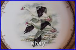 Edward Marshall Boehm Water Bird Bone China Plates Set Of 4 Wooden Framed