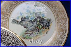 Eight (8) Lenox Boehm Birds Dinner Plates 1970's