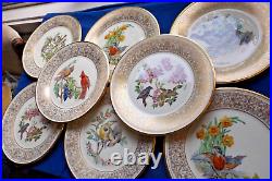 Eight (8) Lenox Boehm Birds Dinner Plates 1970's