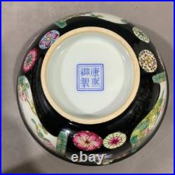 Estate Collectable Art Hand Painting Famille Rose Porcelain Flowers Bird Bowl