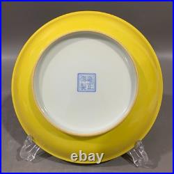 Estate Collectable Art Hand Painting Famille Rose Porcelain Flowers Bird Plate