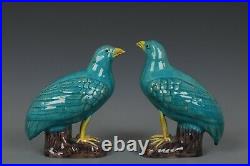 Fine Beautiful Pair Chinese Green Glaze Porcelain Bird Statue