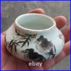 Fine Chinese Collectable Art Hand Famille Rose Porcelain Bird Wash