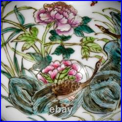 Fine Collectable Art Hand Painting Famille Rose Porcelain Bird Calabash Vase