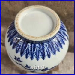 Fine Collectable Chinese Hand Blue&white Porcelain Bird Vase