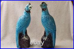 Fine Pair Antique Marked Chinese China Blue Birds Parrots Kingfisher 7 inches
