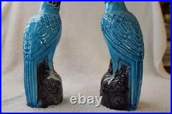 Fine Pair Antique Marked Chinese China Blue Birds Parrots Kingfisher 7 inches