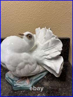 Fritz Heidenreich of Rosenthal, Germany handmade porcelain male courting dove 6