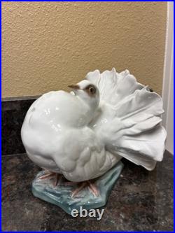 Fritz Heidenreich of Rosenthal, Germany handmade porcelain male courting dove 6