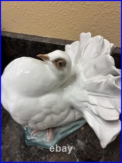 Fritz Heidenreich of Rosenthal, Germany handmade porcelain male courting dove 6
