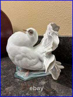 Fritz Heidenreich of Rosenthal, Germany handmade porcelain male courting dove 6