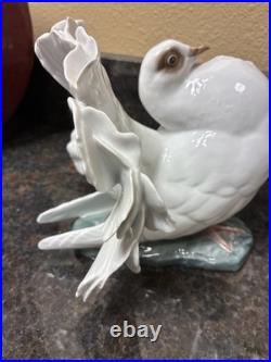 Fritz Heidenreich of Rosenthal, Germany handmade porcelain male courting dove 6