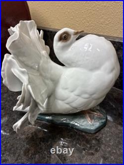 Fritz Heidenreich of Rosenthal, Germany handmade porcelain male courting dove 6