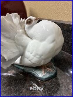 Fritz Heidenreich of Rosenthal, Germany handmade porcelain male courting dove 6