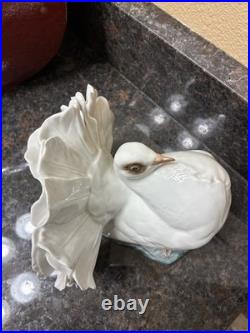 Fritz Heidenreich of Rosenthal, Germany handmade porcelain male courting dove 6