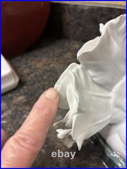 Fritz Heidenreich of Rosenthal, Germany handmade porcelain male courting dove 6