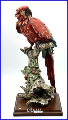 G. Armani Capodimonte Porcelain Scarlet Macaw Parrot Figurine 15 Italy Marked