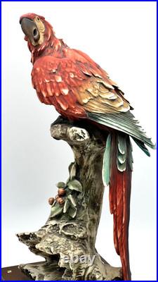 G. Armani Capodimonte Porcelain Scarlet Macaw Parrot Figurine 15 Italy Marked
