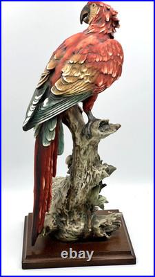 G. Armani Capodimonte Porcelain Scarlet Macaw Parrot Figurine 15 Italy Marked