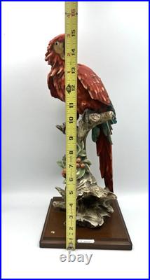 G. Armani Capodimonte Porcelain Scarlet Macaw Parrot Figurine 15 Italy Marked