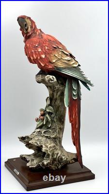 G. Armani Capodimonte Porcelain Scarlet Macaw Parrot Figurine 15 Italy Marked