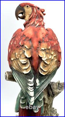 G. Armani Capodimonte Porcelain Scarlet Macaw Parrot Figurine 15 Italy Marked