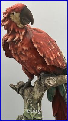G. Armani Capodimonte Porcelain Scarlet Macaw Parrot Figurine 15 Italy Marked