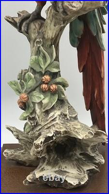 G. Armani Capodimonte Porcelain Scarlet Macaw Parrot Figurine 15 Italy Marked