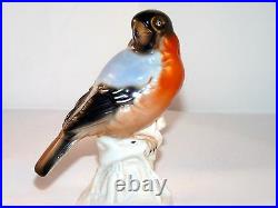German Unterweissbach Porcelain Multi-color Bird Figurine