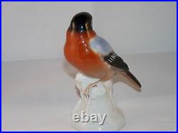 German Unterweissbach Porcelain Multi-color Bird Figurine