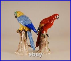 German porcelain parrots bird figurine African Macaw Dresden Karl Ens Volkstedt