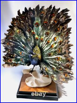 Giuseppe Armani Peacock Small 0720-S Porcelain Sculpture Italy 13.5 Tall & Box