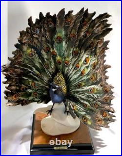 Giuseppe Armani Peacock Small 0720-S Porcelain Sculpture Italy 13.5 Tall & Box