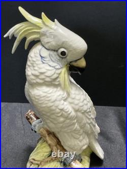 Gorgeous Royal Dux Hand Painted Porcelain Cockatoo 10 Perfect Condition