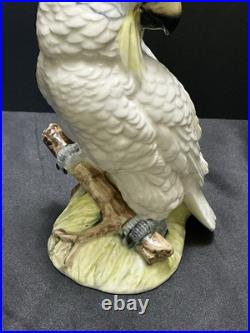 Gorgeous Royal Dux Hand Painted Porcelain Cockatoo 10 Perfect Condition