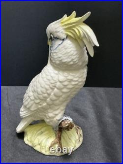 Gorgeous Royal Dux Hand Painted Porcelain Cockatoo 10 Perfect Condition