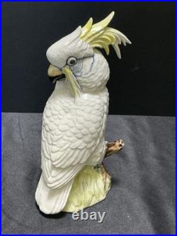 Gorgeous Royal Dux Hand Painted Porcelain Cockatoo 10 Perfect Condition