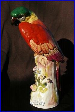Grand Ara Perroquet Oiseau Porcelaine de Paris 19ème Large Bird Parrot Statue