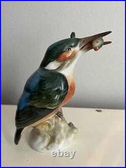 HEREND HUNGARY VINTAGE Hand Painted King Fisherman Porcelain Bird