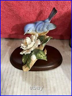 HOMCO Home Interiors porcelain bird figurine, Bluebird & Camellia DWK